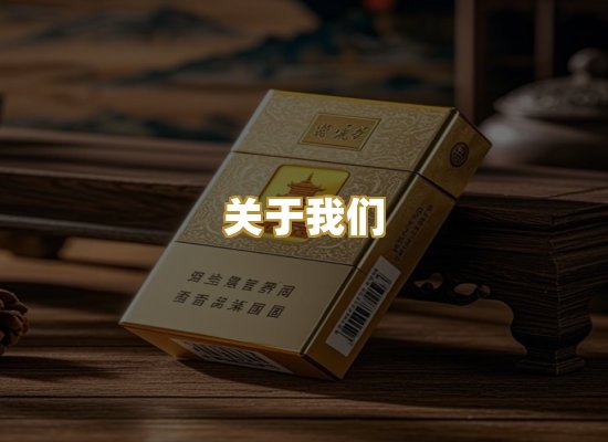 关于我们